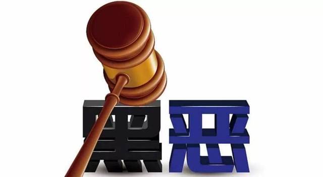 扫黑除恶 ｜萧仲文：孙幼果被执行死刑，正义终于战胜了邪恶